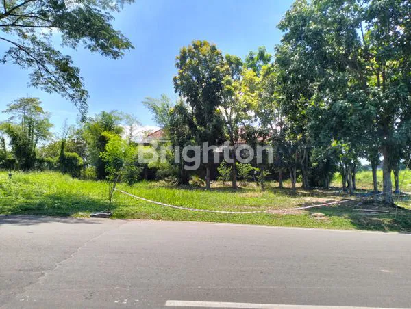 image DI JUAL TANAH KAVLING DI BUKIT ALAYA PINGGIR JALAN RAYA SEBERANG KULTUR (3)