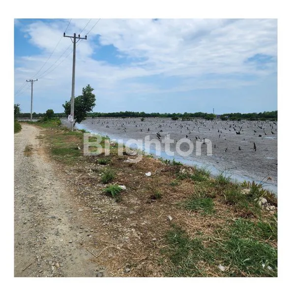 image TANAH NELAYAN INDAH MEDAN LABUHAN (1)