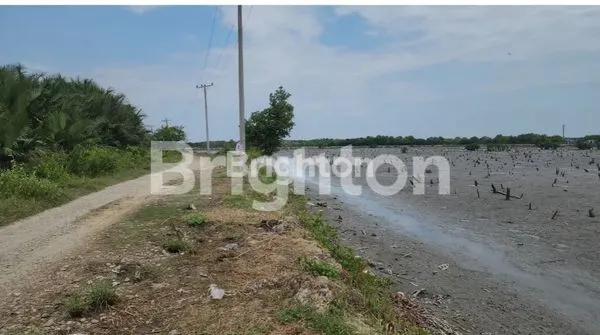 image TANAH NELAYAN INDAH MEDAN LABUHAN (3)