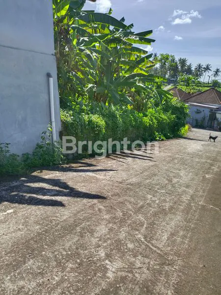 TANAH KAVLING PERUMAHAN DESA MAMBANG