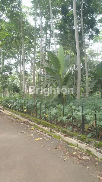 image TANAH INVESTASI DAERAH MIJEN - BSB (1)