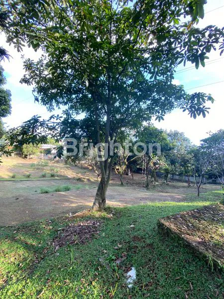 image TANAH LUAS COCOK USAHA DEKAT AREA SUMMARECON BOGOR (7)