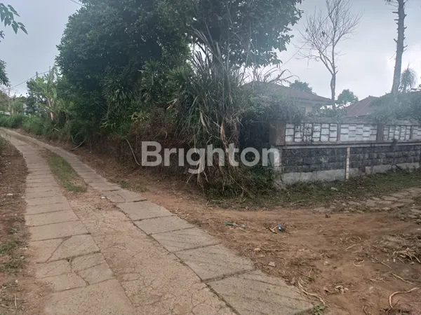 TANAH 31 ARE DI DESA WANAGIRI, BULELENG