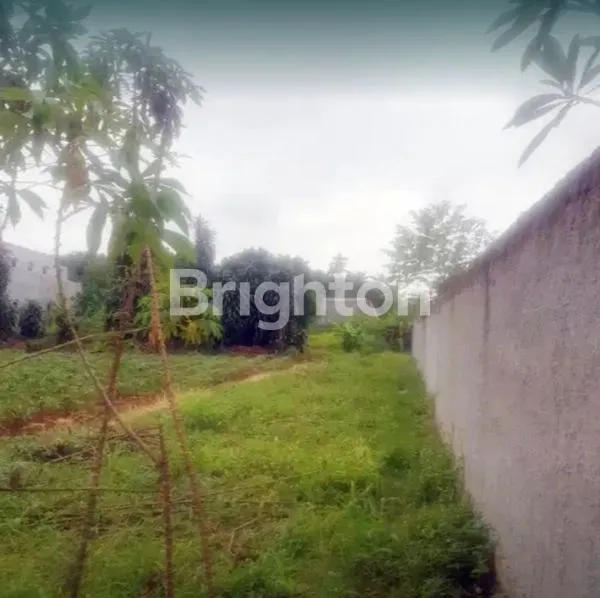 image TANAH GUNUNG SINDUR (2)