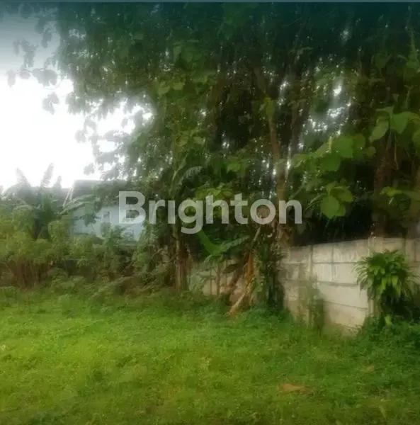 image TANAH GUNUNG SINDUR (5)