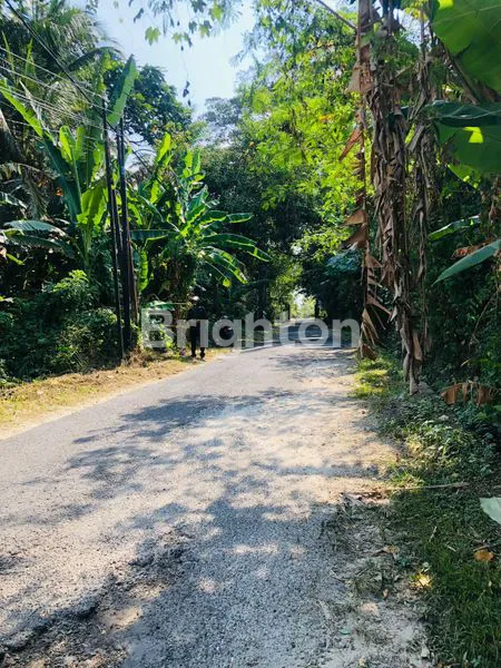 image TANAH KAVLING KEDIRI, TABANAN (3)