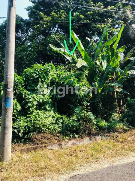 image TANAH KAVLING KEDIRI, TABANAN (4)