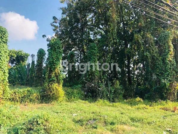 image TANAH PINGGIR JALAN BYPASS SOEKARNO BONUS PONDASI (2)