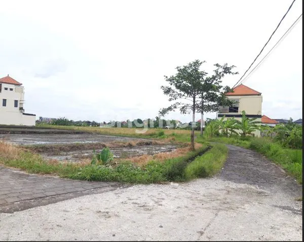 image TANAH JL.ARJUNA DALUNG (4)