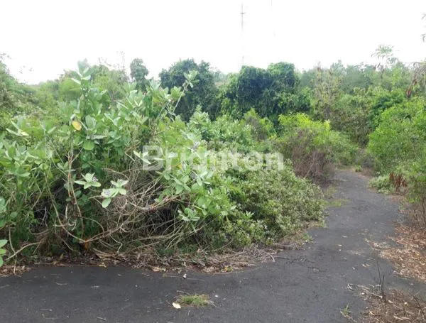 image TANAH KAVLING STRATEGIS UNGASAN, SHM (1)