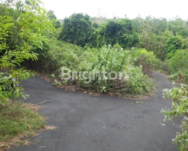 image TANAH KAVLING STRATEGIS UNGASAN, SHM (2)