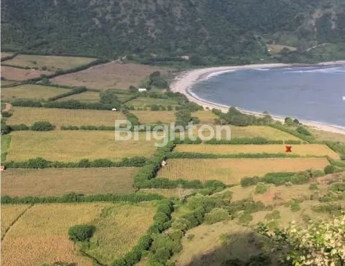 image TANAH KOSONG PINGGIR PANTAI MORO SUMBAWA BARAT (5)