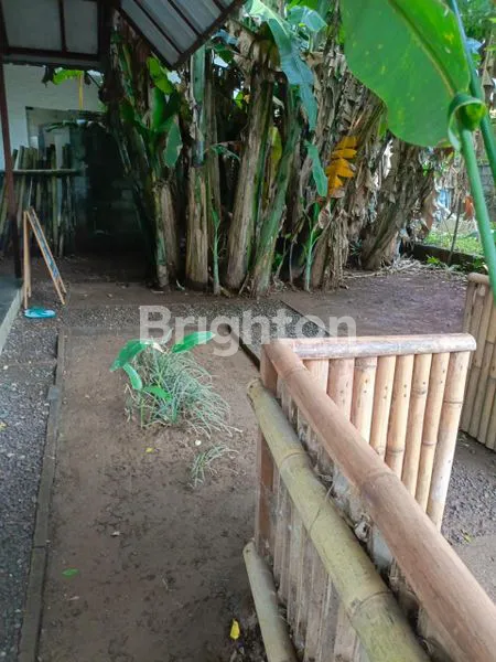 image RUANG USAHA UNIK DI UNGASAN (4)