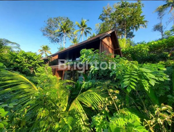 VILLA KELIKI UBUD LIMITED EDITION