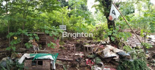 image TANAH SIAP BANGUN JALAN  KARANG REJO  TELAGA BODAS SEMARANG  (6)