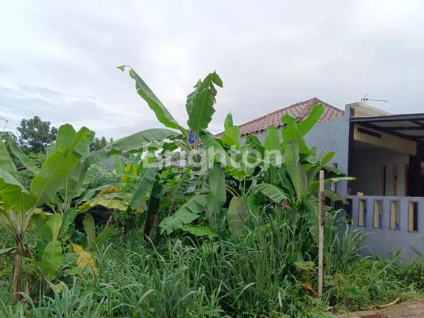 image TANAH DI PAKANSARI CIBINONG BOGOR (2)