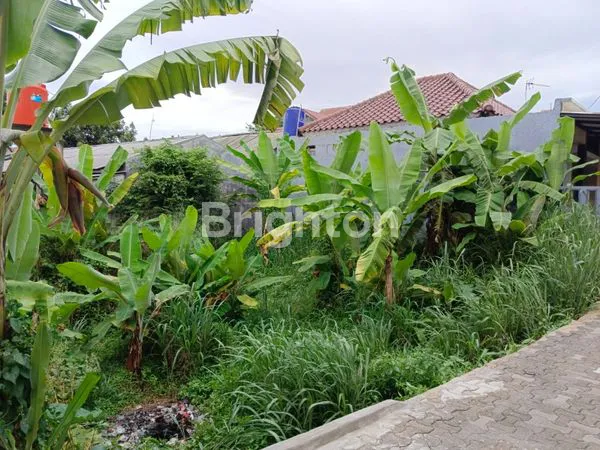 image TANAH DI PAKANSARI CIBINONG BOGOR (4)