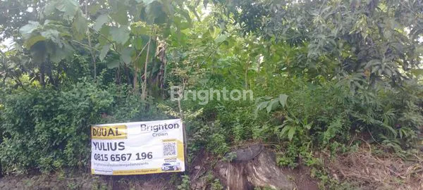 TANAH NON PERTANIAN PINGGIR JALAN UTAMA