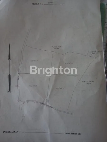 image TANAH 1,2HA KAMPUNG KARANGSARI DESA MEKARWANGI CARIU BOGOR TIMUR (2)