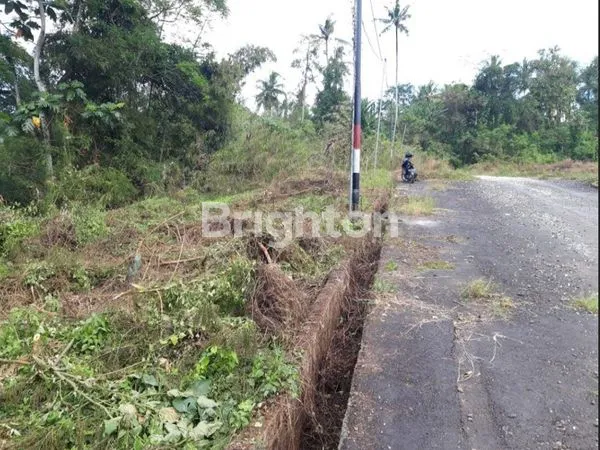 TANAH KAVLING MURAH DESA SEMBUNG GEDE, TABANAN