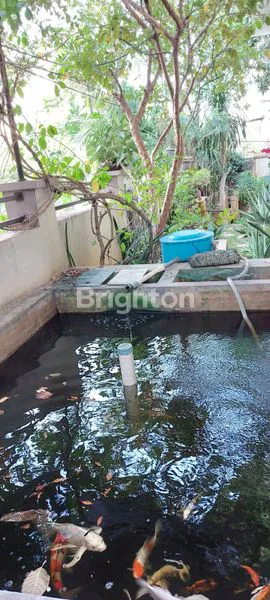 image JUAL CEPAT RUMAH MEWAH ( HOEK) DI GREEN VILLE (8)