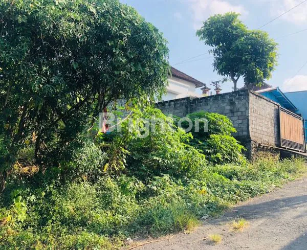 image TANAH STRATEGIS BEJI, 100M² HARGA MENARIK (2)