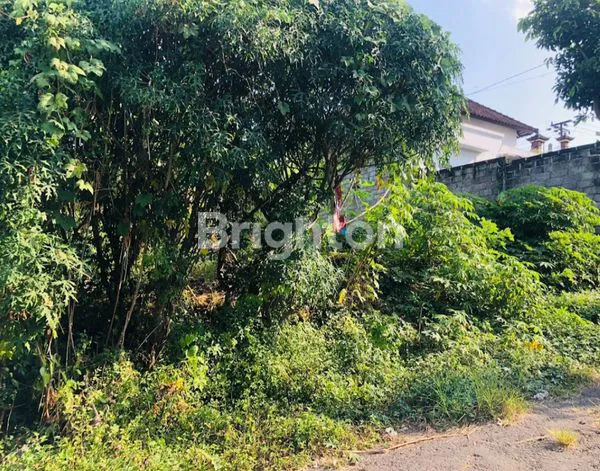 image TANAH STRATEGIS BEJI, 100M² HARGA MENARIK (4)