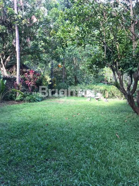 image RUMAH SEMI VILLA YG ASRI DAN NYAMAN (8)