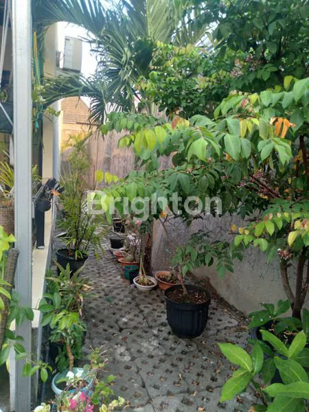 image RUMAH MURAH DI PEDURUNGAN DEKAT JALAN MAJAPAHIT DAN ALTERI (6)