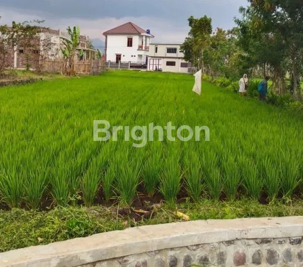 image TANAH 954 M2 DI DESA TAMANHARJO, KEC SINGOSARI, KAB MALANG  (3)