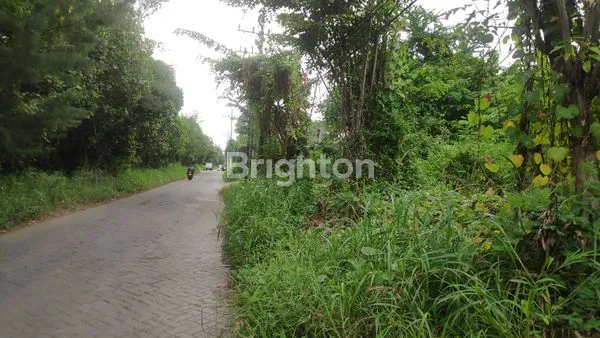 image TANAH 0 JALAN, BISA UNTUK GUDANG DAN WORKSHOP (1)