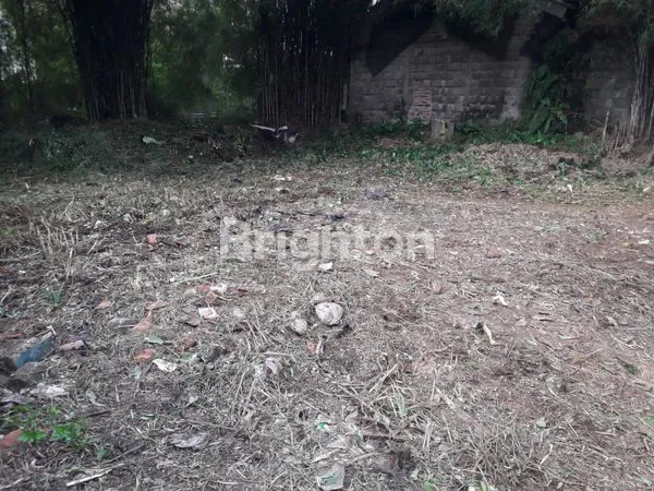 image RUMAH TYPE 21 DENGAN HALAMAN KOSONG YANG SANGAT LUAS DI PERUMAHAN TAMAN SARI PERSADA BOGOR JALAN RAYA SHOLEH ISKANDAR SANGAT  STRATEGIS DI PINTU IN OUT TOLL BORR BOGOR (6)