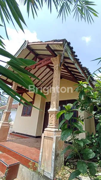 Rumah murah terawat Tanggul asri