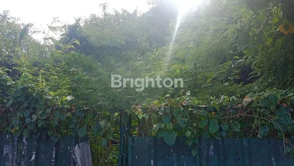 image JUAL TANAH JALAN MAHENDRADATTA (1)