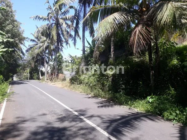 image TANAH DI JALAN UTAMA GULINGAN MENGWI DEKAT DG DAERAH PARIWISATA TAMAN AYUN (2)