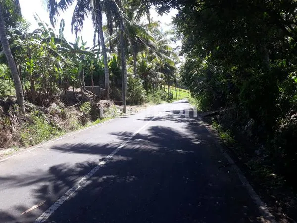 image TANAH DI JALAN UTAMA GULINGAN MENGWI DEKAT DG DAERAH PARIWISATA TAMAN AYUN (3)