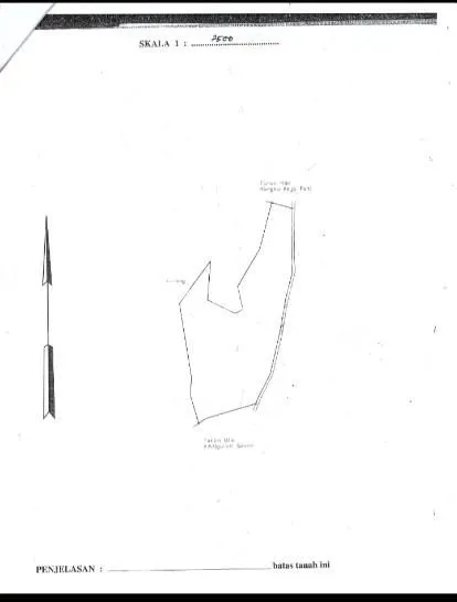 image TANAH KEBUN 1,8 HEKTARE DI CATUR KINTAMANI BANGLI (2)