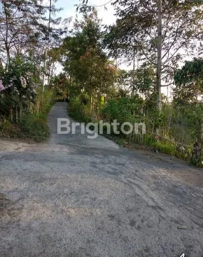 image TANAH KEBUN 1,8 HEKTARE DI CATUR KINTAMANI BANGLI (3)