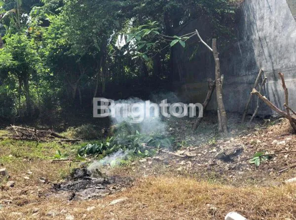 image TANAH JL. DR. IR. SOEKARNO 1 PERSIAPAN TABANAN (4)