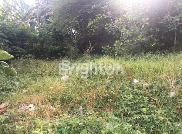 image TANAH JL. DR. IR. SOEKARNO 1 PERSIAPAN TABANAN (5)