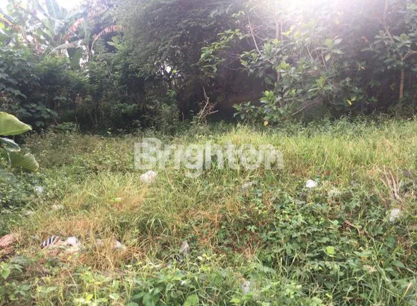 image TANAH JL. DR. IR. SOEKARNO 1 PERSIAPAN TABANAN (7)