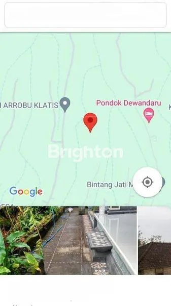 image TANAH KEBUN 1,8 HEKTARE DI CATUR KINTAMANI BANGLI (8)