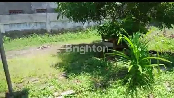 image RUMAH MAIN ROAD - TEMPAT USAHA LEGALITAS SHM LEBAR 20 M (8)