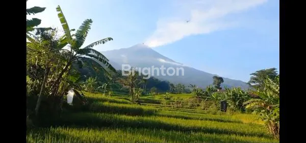 image TANAH DI TRAWAS COCOK UNTUK KOMPLEKS VILLA NOL JALAN VIEW GN. WELIRANG (1)