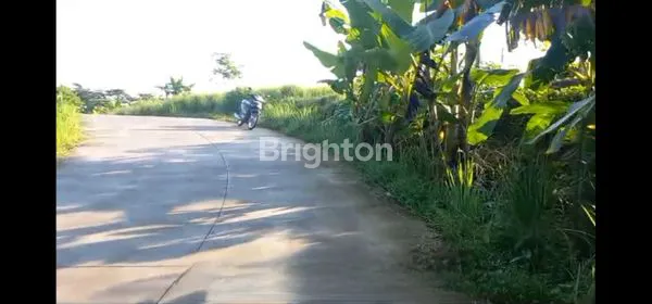 image TANAH DI TRAWAS COCOK UNTUK KOMPLEKS VILLA NOL JALAN VIEW GN. WELIRANG (2)