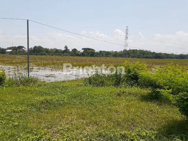 *TANAH NGANTONG LOKASI STRATEGIS DEKAT EXIT TOLL SIDOHARJO SRAGEN*