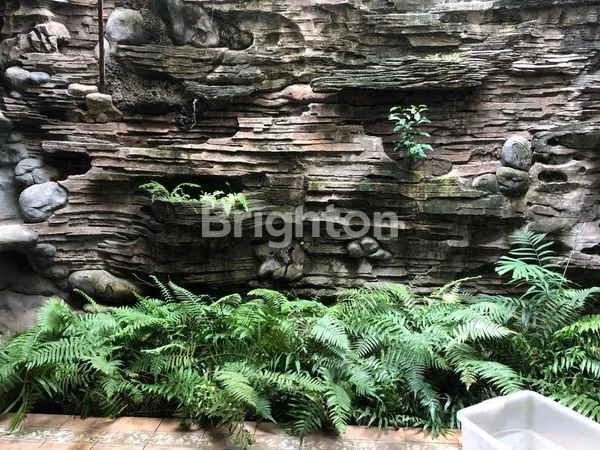 image RUMAH LUAS DI KAYU PUTIH [R 855 J] (7)