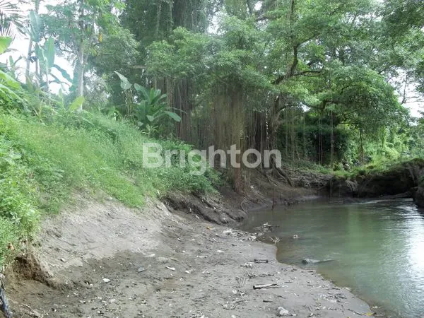 image TANAH PERKEBUNAN RIVER SIDE SELUAS 1 HEKTAR DI DESA CEPAKA KEDIRI TABANAN (4)