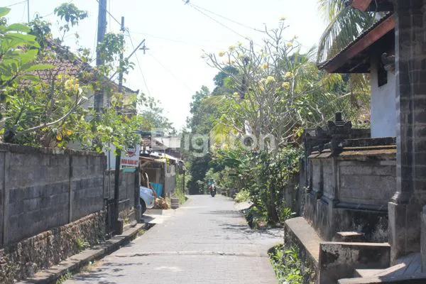 image TANAH PERKEBUNAN RIVER SIDE SELUAS 1 HEKTAR DI DESA CEPAKA KEDIRI TABANAN (6)