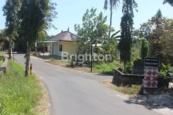 image TANAH PERKEBUNAN RIVER SIDE SELUAS 1 HEKTAR DI DESA CEPAKA KEDIRI TABANAN (5)